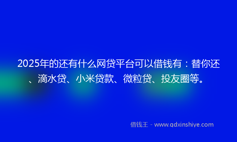 2025年的还有什么网贷平台可以借钱有：替你还、滴水贷、小米贷款、微粒贷、投友圈等。