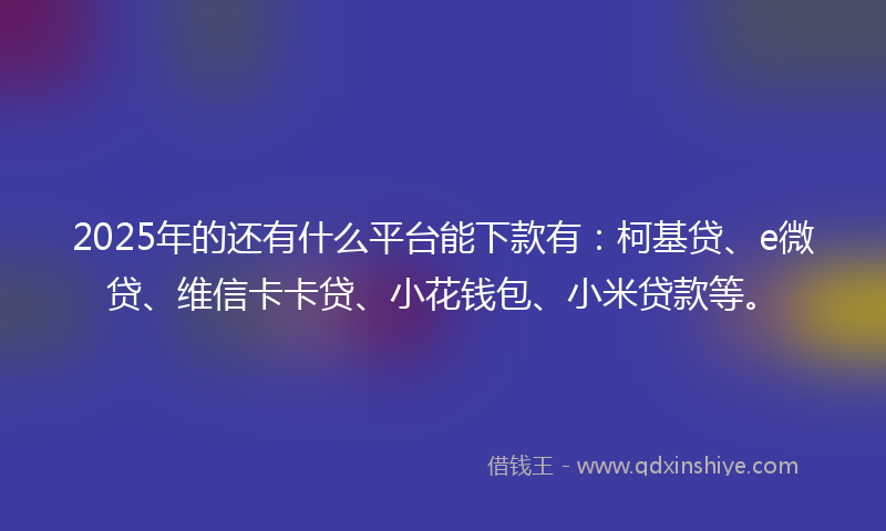 2025年的还有什么平台能下款有：柯基贷、e微贷、维信卡卡贷、小花钱包、小米贷款等。