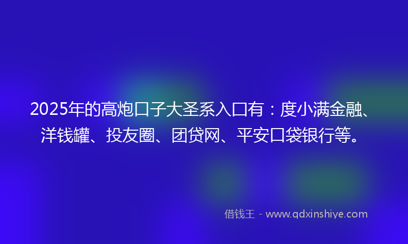 2025年的高炮口子大圣系入囗有：度小满金融、洋钱罐、投友圈、团贷网、平安口袋银行等。