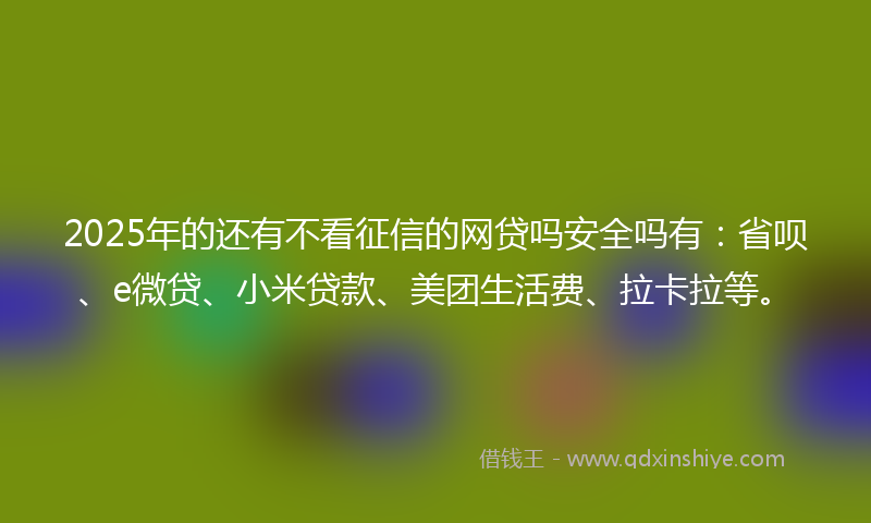 2025年的还有不看征信的网贷吗安全吗有：省呗、e微贷、小米贷款、美团生活费、拉卡拉等。