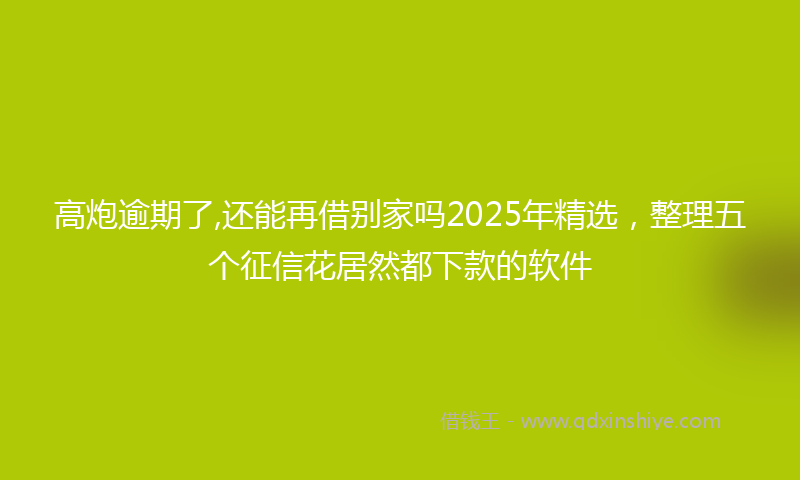 高炮逾期了,还能再借别家吗2025年精选，整理五个征信花居然都下款的软件