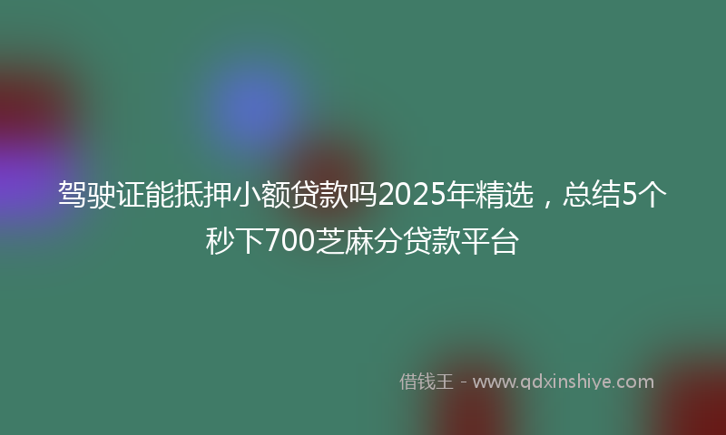 驾驶证能抵押小额贷款吗2025年精选，总结5个秒下700芝麻分贷款平台