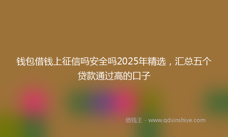 钱包借钱上征信吗安全吗2025年精选，汇总五个贷款通过高的口子