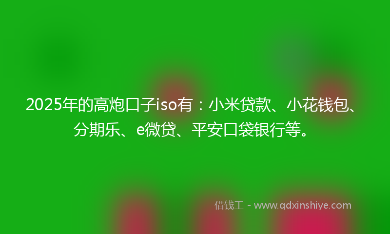 2025年的高炮口子iso有：小米贷款、小花钱包、分期乐、e微贷、平安口袋银行等。