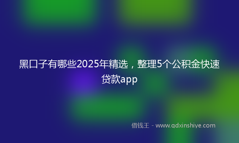 黑口子有哪些2025年精选，整理5个公积金快速贷款app