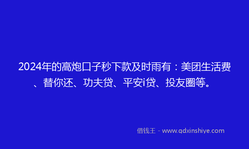 2024年的高炮口子秒下款及时雨有：美团生活费、替你还、功夫贷、平安i贷、投友圈等。