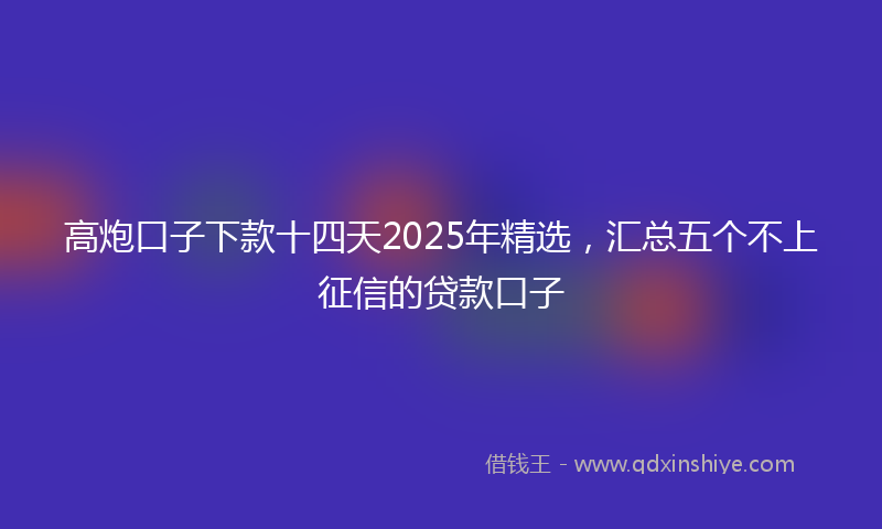 高炮口子下款十四天2025年精选，汇总五个不上征信的贷款口子