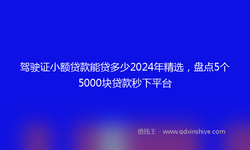 驾驶证小额贷款能贷多少2024年精选，盘点5个5000块贷款秒下平台