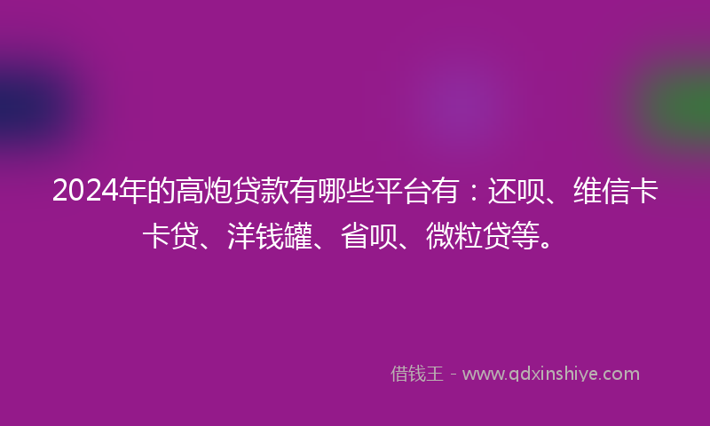 2024年的高炮贷款有哪些平台有：还呗、维信卡卡贷、洋钱罐、省呗、微粒贷等。
