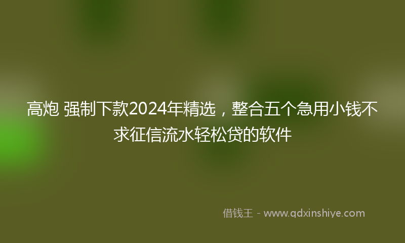 高炮 强制下款2024年精选，整合五个急用小钱不求征信流水轻松贷的软件