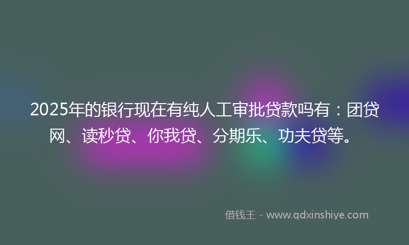 2025年的银行现在有纯人工审批贷款吗有：团贷网、读秒贷、你我贷、分期乐、功夫贷等。