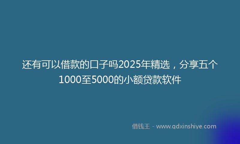 还有可以借款的口子吗2025年精选，分享五个1000至5000的小额贷款软件