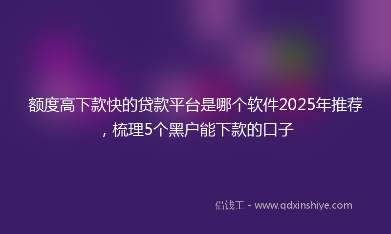 额度高下款快的贷款平台是哪个软件2025年推荐，梳理5个黑户能下款的口子