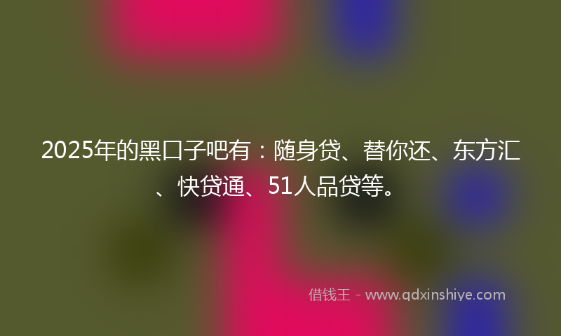 2025年的黑口子吧有：随身贷、替你还、东方汇、快贷通、51人品贷等。
