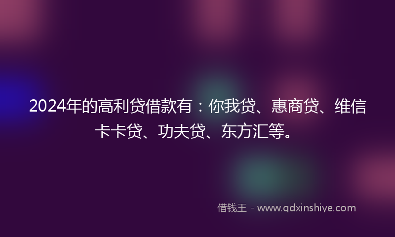 2024年的高利贷借款有：你我贷、惠商贷、维信卡卡贷、功夫贷、东方汇等。