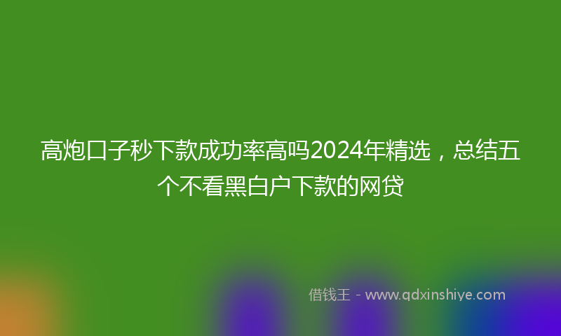 高炮口子秒下款成功率高吗2024年精选，总结五个不看黑白户下款的网贷