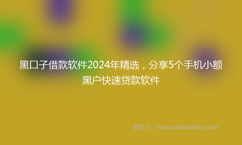 黑口子借款软件2024年精选，分享5个手机小额黑户快速贷款软件