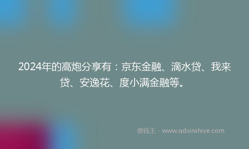 2024年的高炮分享有：京东金融、滴水贷、我来贷、安逸花、度小满金融等。