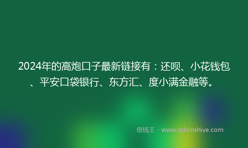 2024年的高炮口子最新链接有：还呗、小花钱包、平安口袋银行、东方汇、度小满金融等。