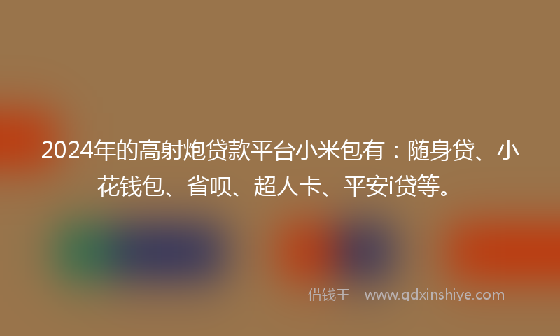 2024年的高射炮贷款平台小米包有：随身贷、小花钱包、省呗、超人卡、平安i贷等。