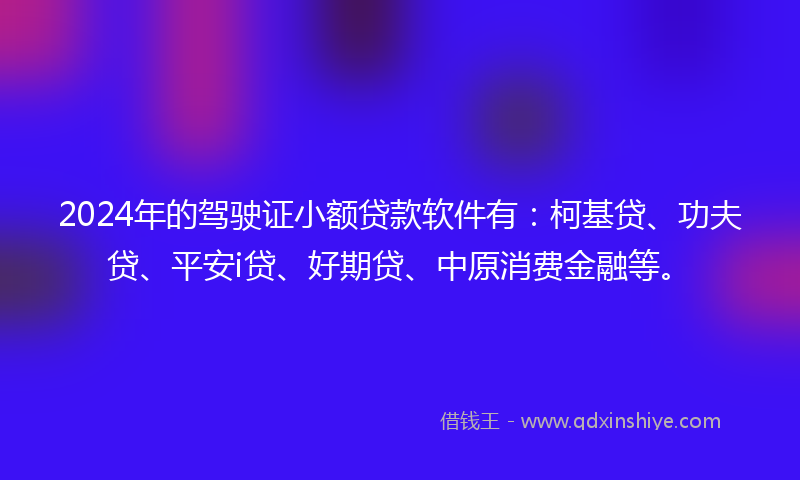 2024年的驾驶证小额贷款软件有：柯基贷、功夫贷、平安i贷、好期贷、中原消费金融等。