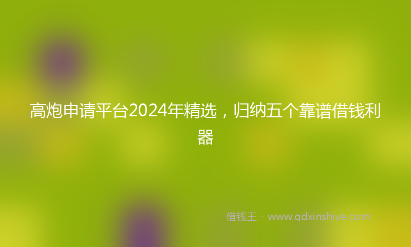 高炮申请平台2024年精选，归纳五个靠谱借钱利器