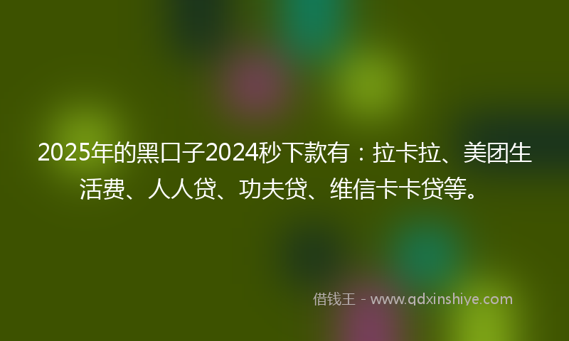 2025年的黑口子2024秒下款有：拉卡拉、美团生活费、人人贷、功夫贷、维信卡卡贷等。