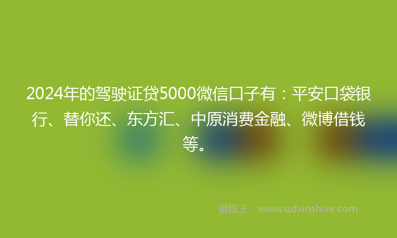 2024年的驾驶证贷5000微信口子有：平安口袋银行、替你还、东方汇、中原消费金融、微博借钱等。