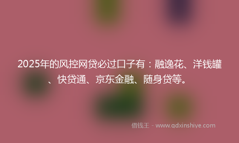 2025年的风控网贷必过口子有：融逸花、洋钱罐、快贷通、京东金融、随身贷等。