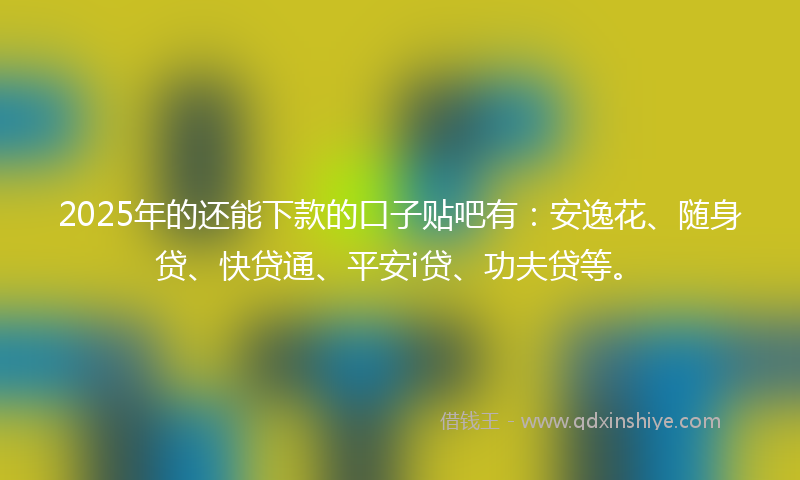 2025年的还能下款的口子贴吧有：安逸花、随身贷、快贷通、平安i贷、功夫贷等。