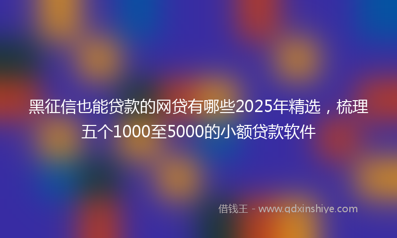 黑征信也能贷款的网贷有哪些2025年精选，梳理五个1000至5000的小额贷款软件