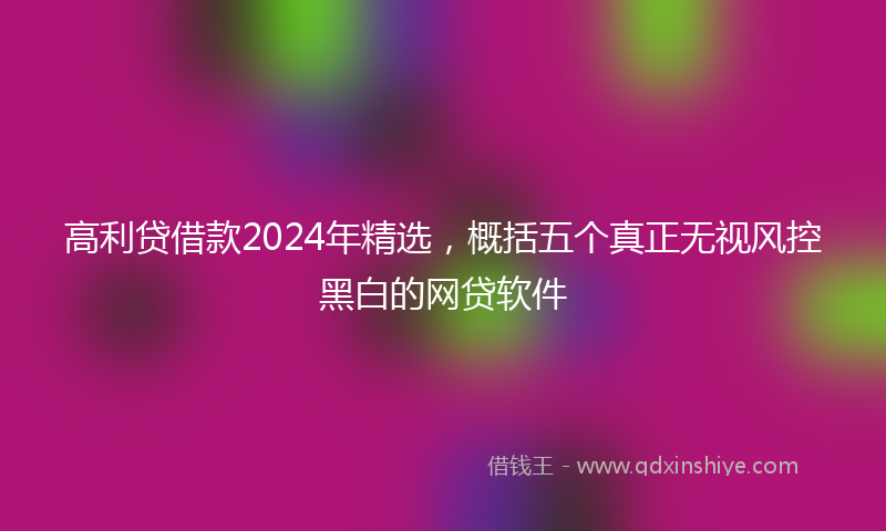 高利贷借款2024年精选，概括五个真正无视风控黑白的网贷软件