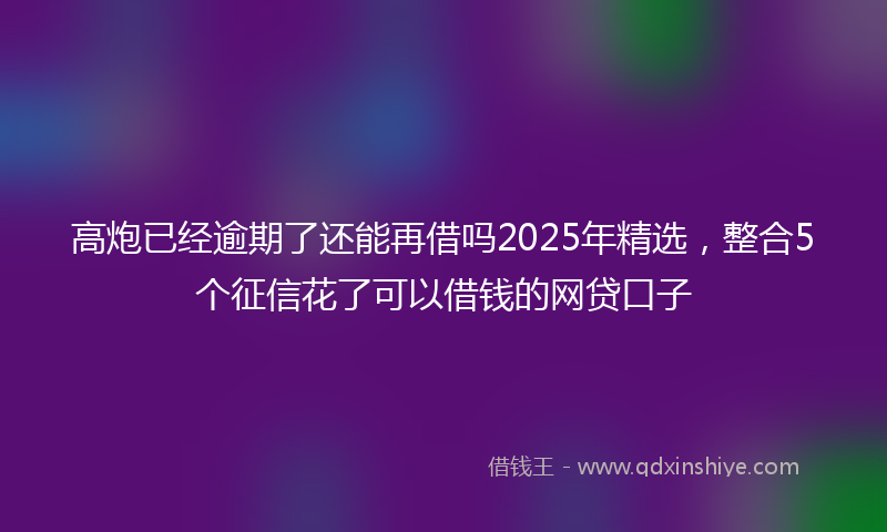 高炮已经逾期了还能再借吗2025年精选，整合5个征信花了可以借钱的网贷口子