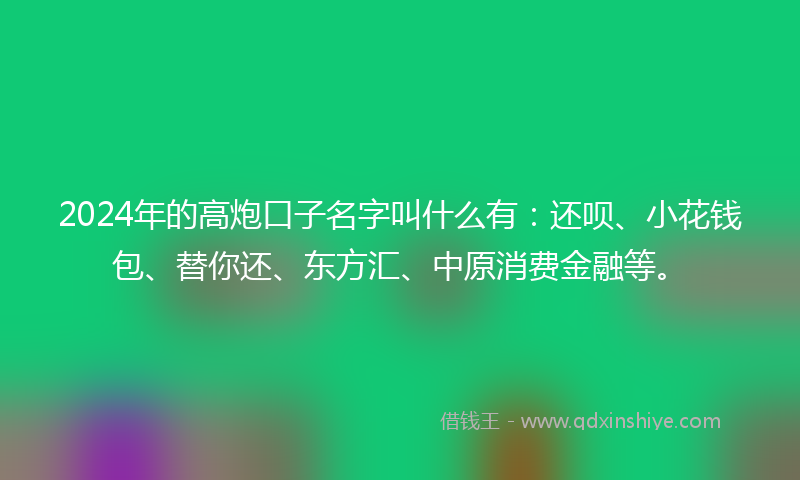 2024年的高炮口子名字叫什么有：还呗、小花钱包、替你还、东方汇、中原消费金融等。