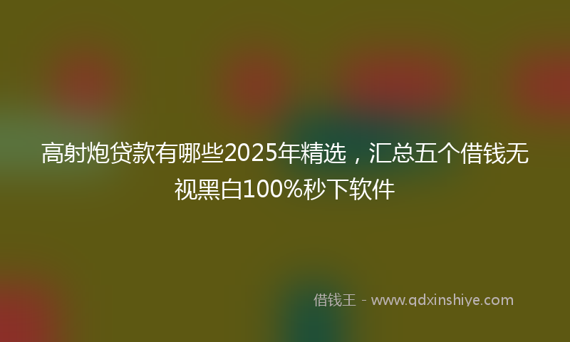高射炮贷款有哪些2025年精选，汇总五个借钱无视黑白100%秒下软件