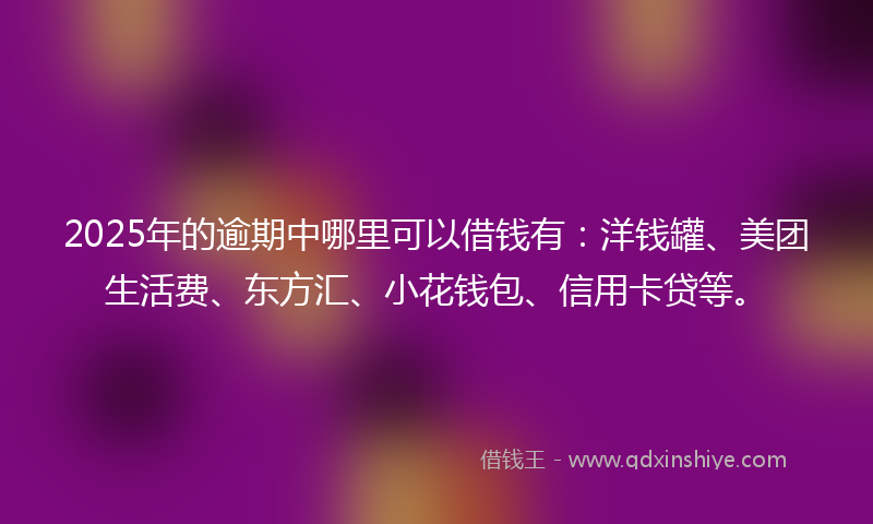 2025年的逾期中哪里可以借钱有：洋钱罐、美团生活费、东方汇、小花钱包、信用卡贷等。