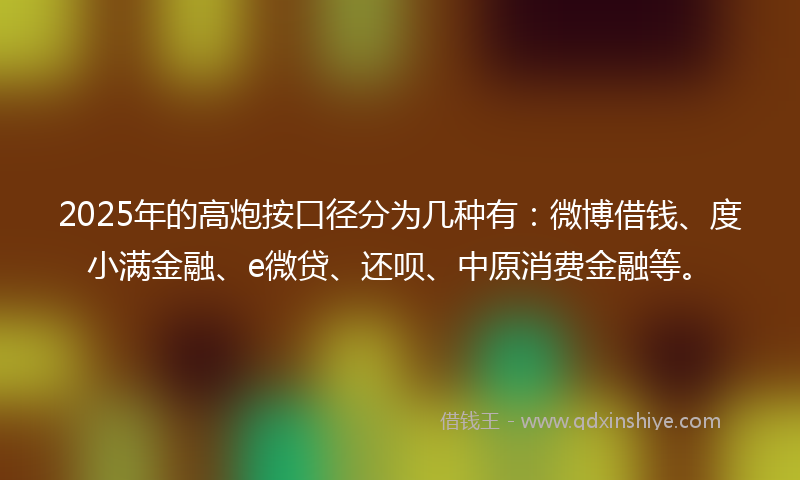 2025年的高炮按口径分为几种有：微博借钱、度小满金融、e微贷、还呗、中原消费金融等。