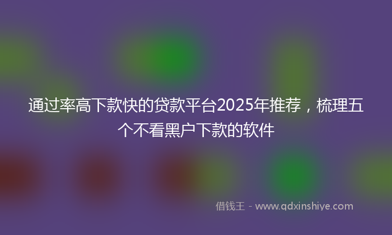 通过率高下款快的贷款平台2025年推荐，梳理五个不看黑户下款的软件