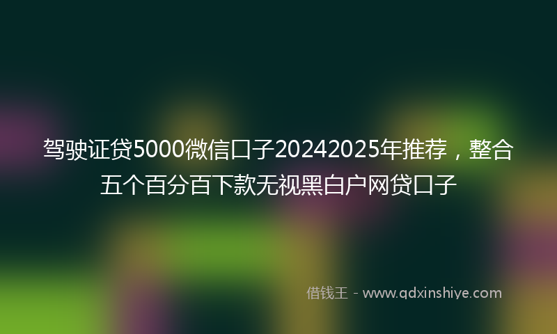 驾驶证贷5000微信口子20242025年推荐，整合五个百分百下款无视黑白户网贷口子
