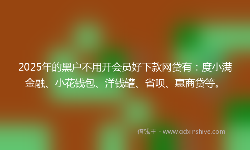 2025年的黑户不用开会员好下款网贷有：度小满金融、小花钱包、洋钱罐、省呗、惠商贷等。