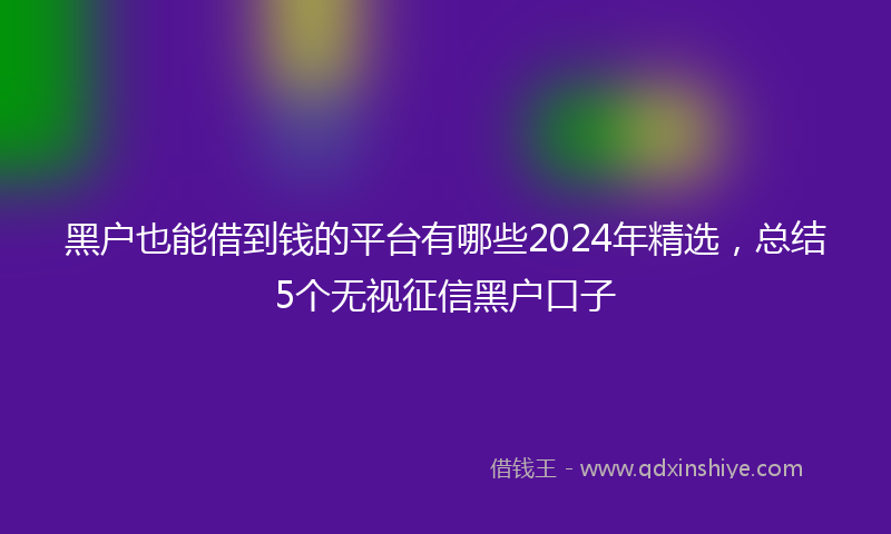 黑户也能借到钱的平台有哪些2024年精选，总结5个无视征信黑户口子