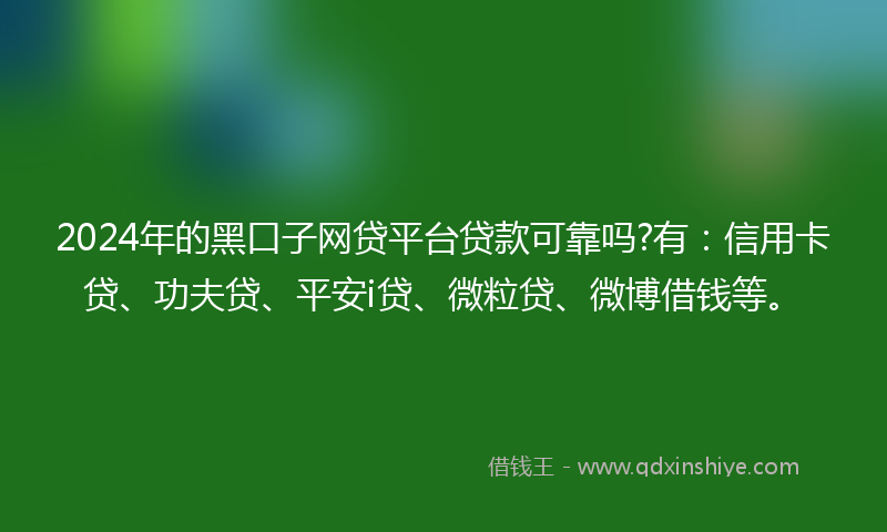 2024年的黑口子网贷平台贷款可靠吗?有：信用卡贷、功夫贷、平安i贷、微粒贷、微博借钱等。
