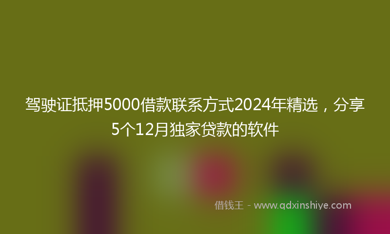 驾驶证抵押5000借款联系方式2024年精选，分享5个12月独家贷款的软件