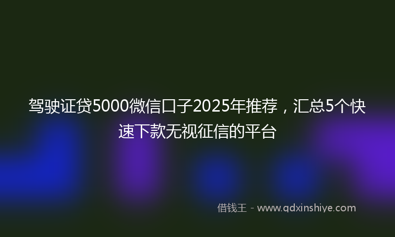 驾驶证贷5000微信口子2025年推荐，汇总5个快速下款无视征信的平台