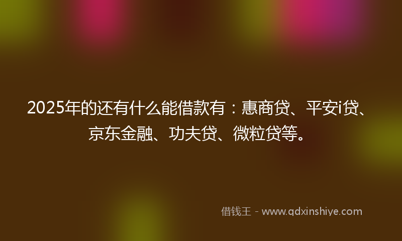 2025年的还有什么能借款有：惠商贷、平安i贷、京东金融、功夫贷、微粒贷等。