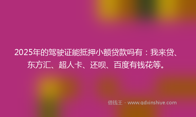 2025年的驾驶证能抵押小额贷款吗有：我来贷、东方汇、超人卡、还呗、百度有钱花等。