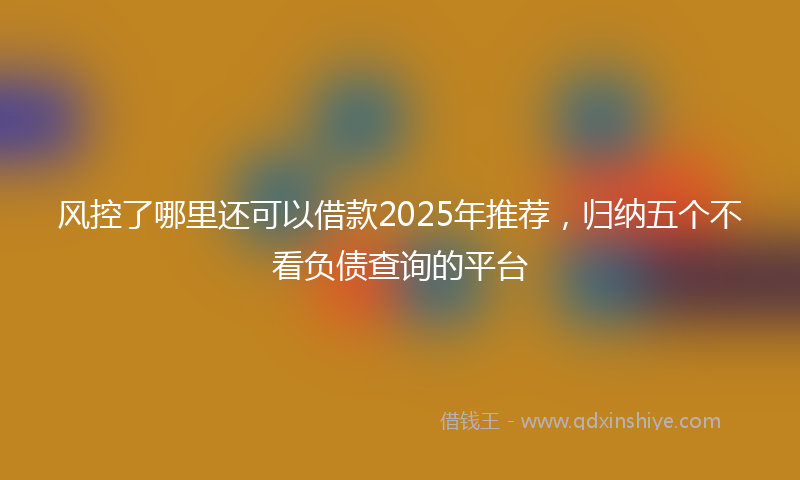 风控了哪里还可以借款2025年推荐，归纳五个不看负债查询的平台