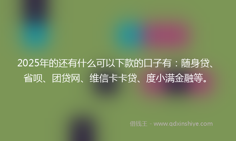 2025年的还有什么可以下款的口子有：随身贷、省呗、团贷网、维信卡卡贷、度小满金融等。