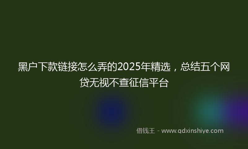 黑户下款链接怎么弄的2025年精选，总结五个网贷无视不查征信平台