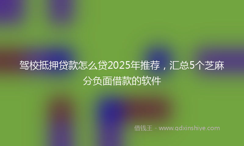 驾校抵押贷款怎么贷2025年推荐，汇总5个芝麻分负面借款的软件
